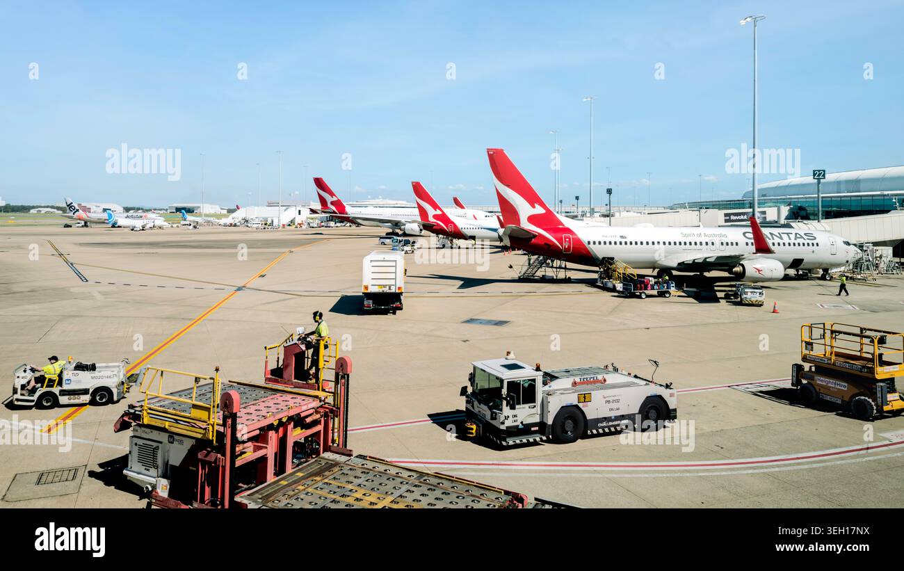 Diversi jet passeggeri di Qantas Airways Boeing 737 presso i cancelli del terminal con attrezzature di supporto a terra e equipaggio. Foto Stock