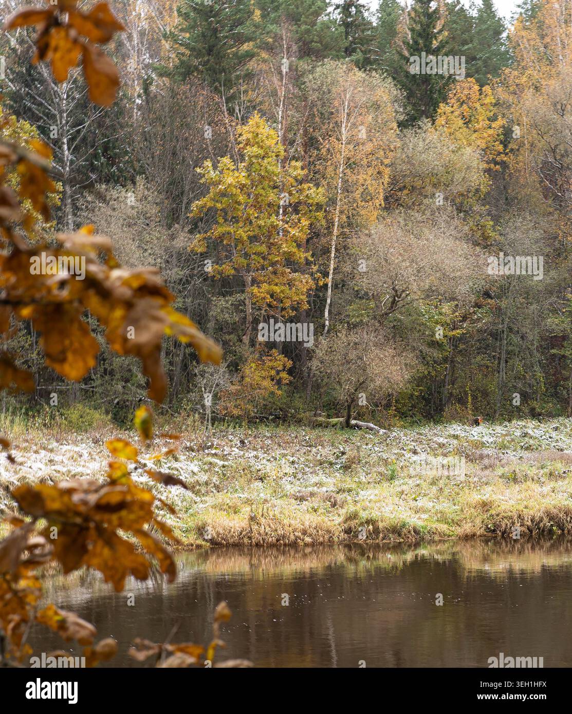 Prima gelata sul fiume Gauja in Lettonia Foto Stock