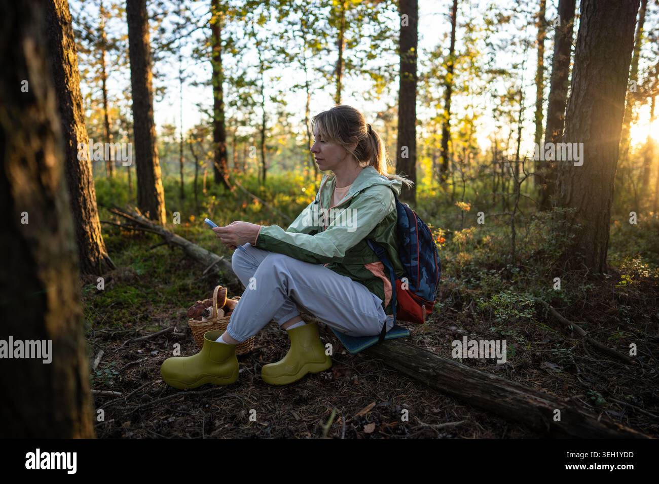Donna foraggiera impegnata a fotografare i funghi nel cestino con lo smartphone durante la bonifica delle foreste Foto Stock