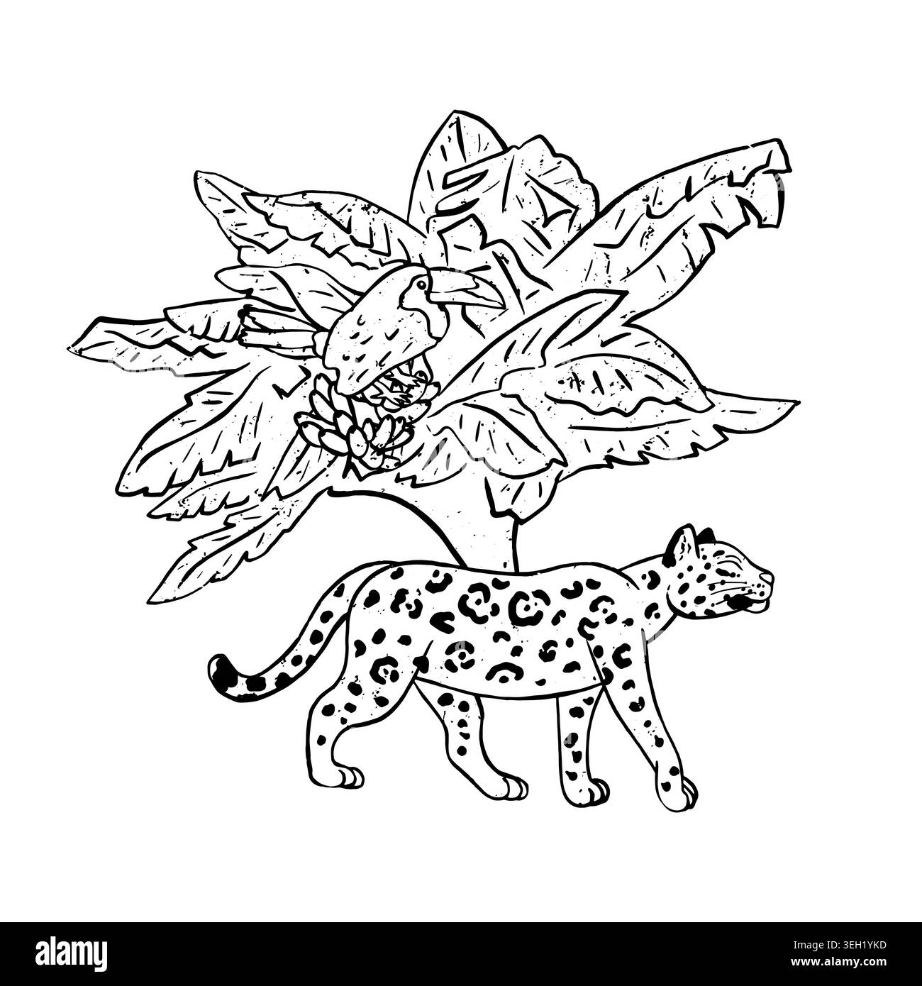 Illustrazione vettoriale in bianco e nero di un giaguaro selvaggio che passa davanti a un banano tropicale con un uccello toucan. Giungla monocromatica in stile ingenuo Illustrazione Vettoriale
