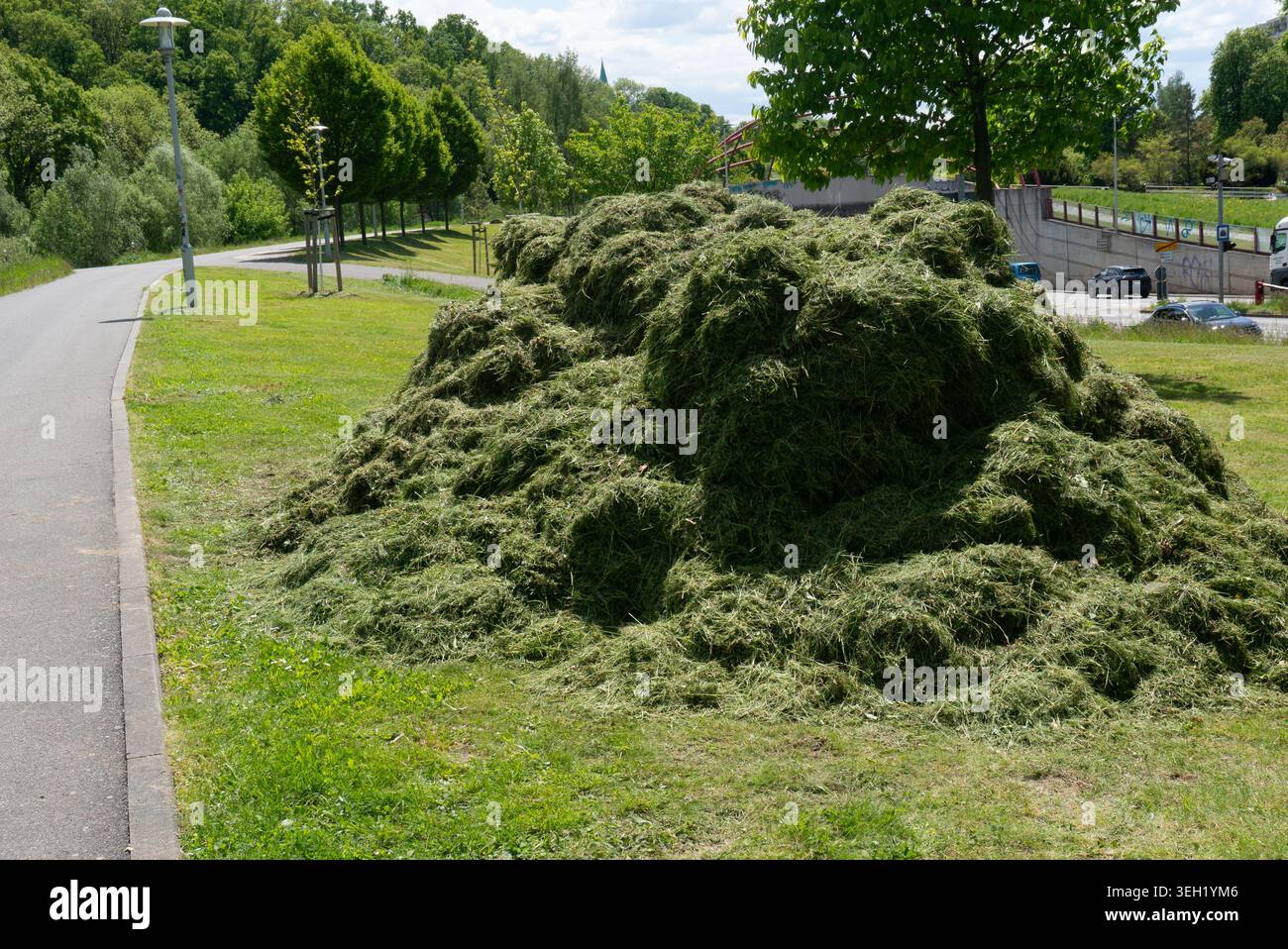 Un mucchio di erba appena tagliata in un parco con la strada Foto Stock
