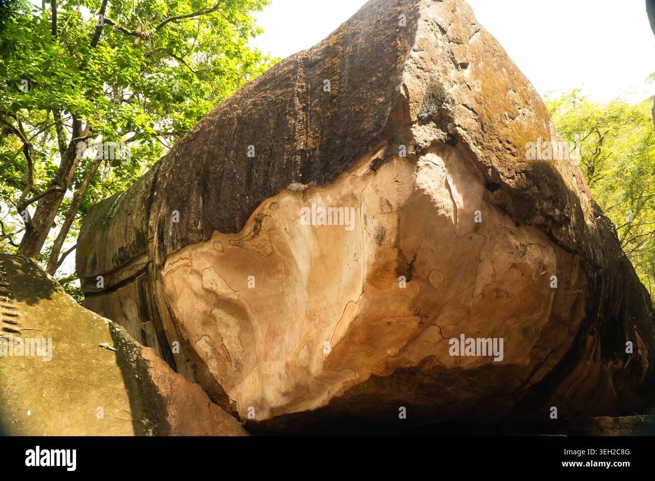 Vista dell'antica formazione rocciosa di Cobra Hood Cave con intonaco intempestivo e segni storici circondati da lussureggianti alberi verdi a Sigiriya, Central Foto Stock