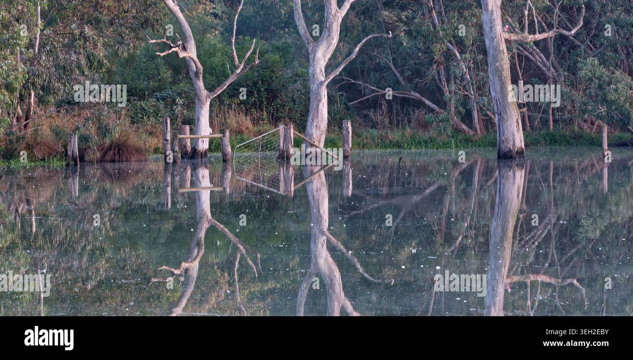 Banyule Reflection Foto Stock