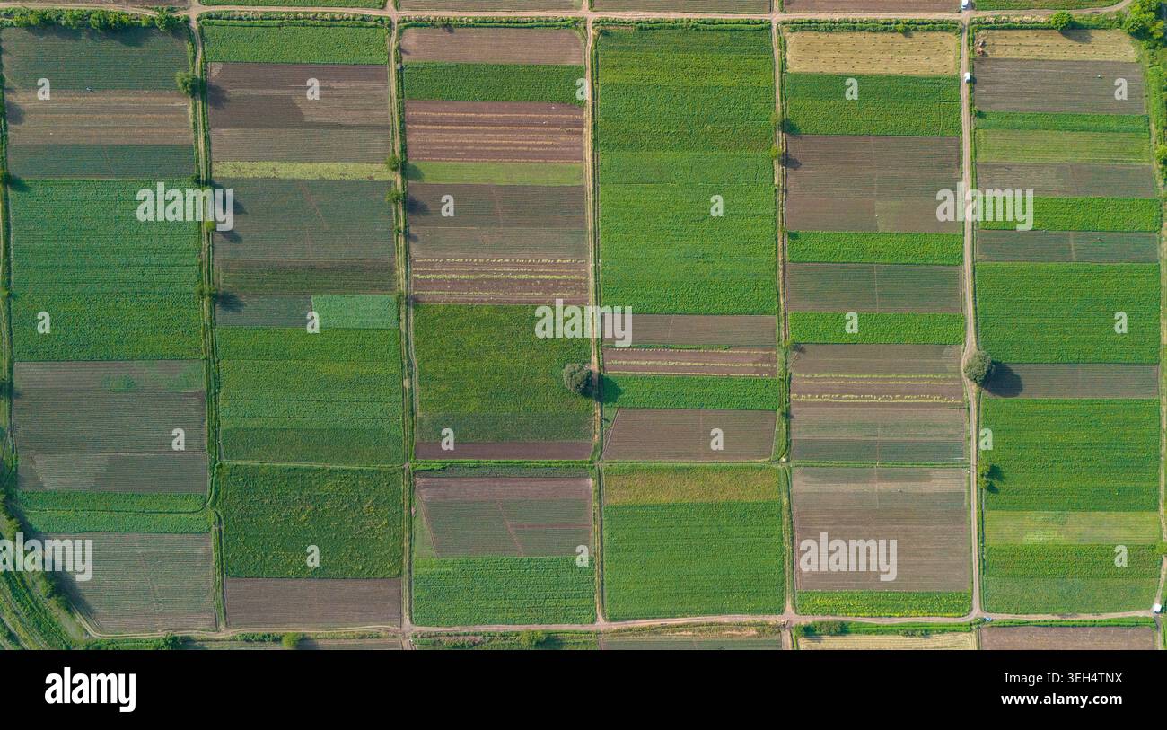 Vista aerea dei campi agricoli patchwork dal drone, Georgia Foto Stock