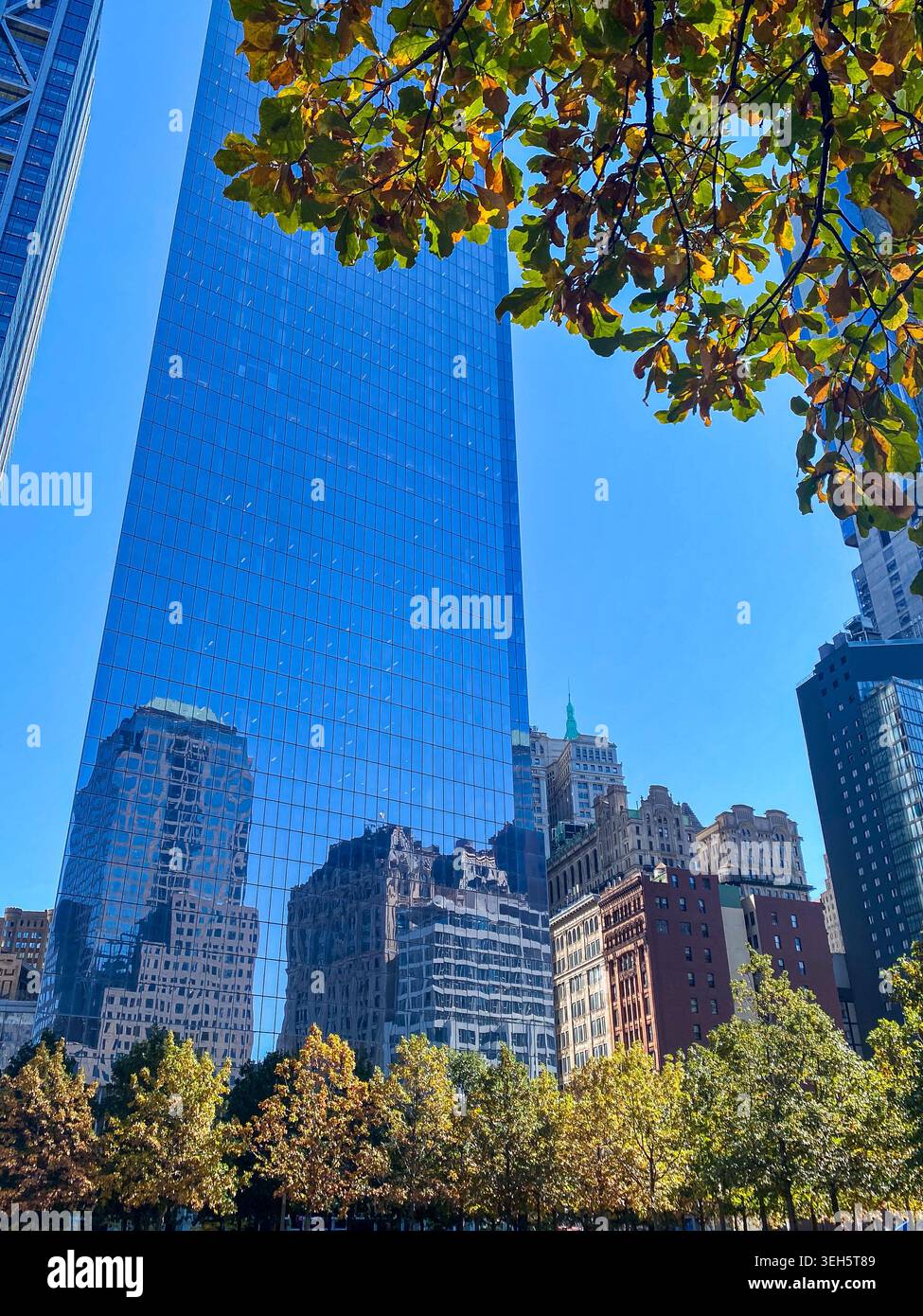 Grattacielo di vetro che riflette gli edifici circostanti e gli alberi autunnali a Lower Manhattan, New York City, USA. - Immagine stock catturata con smartphone
