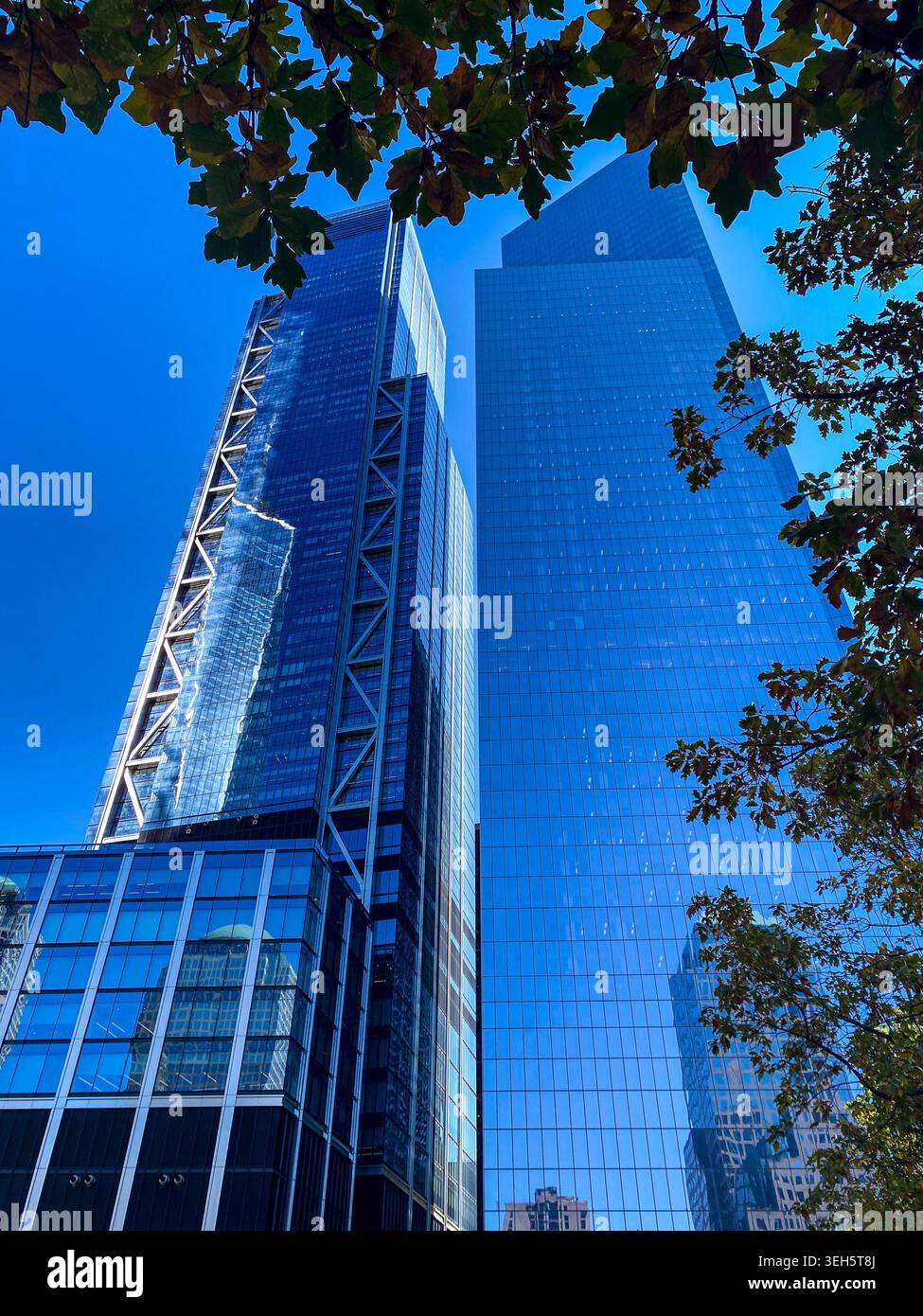 Moderni grattacieli di vetro a Lower Manhattan incorniciati da rami di alberi autunnali contro un cielo azzurro. - Immagine stock catturata con smartphone