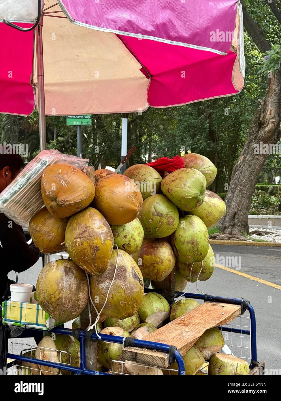 Un carrello di venditori ambulanti carico di noci di cocco fresche si trova sotto un ombrello rosa e bianco su una strada alberata a la Condesa, città del Messico, Messico Foto Stock