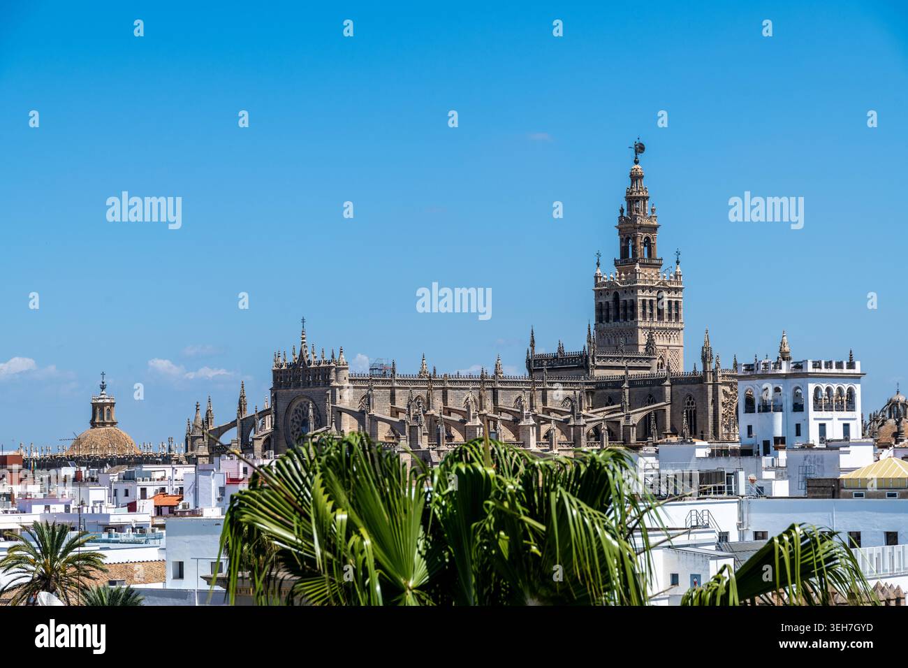 Siviglia, Siviglia - Spagna? 04-19-2024: Cattedrale e torre Giralda in piedi sopra lo skyline della città, con un cielo azzurro come sfondo. Foto Stock