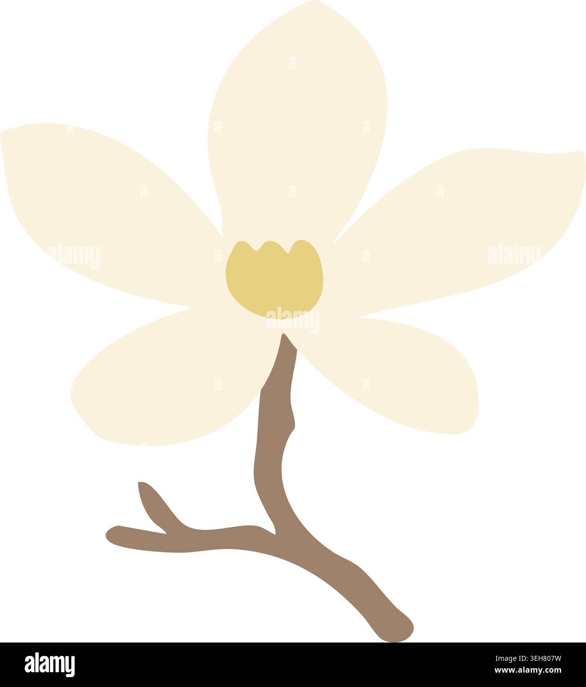 Semplice illustrazione di un fiore bianco di magnolia con grandi petali pallidi che crescono da un ramo marrone ricurvo. Illustrazione Vettoriale