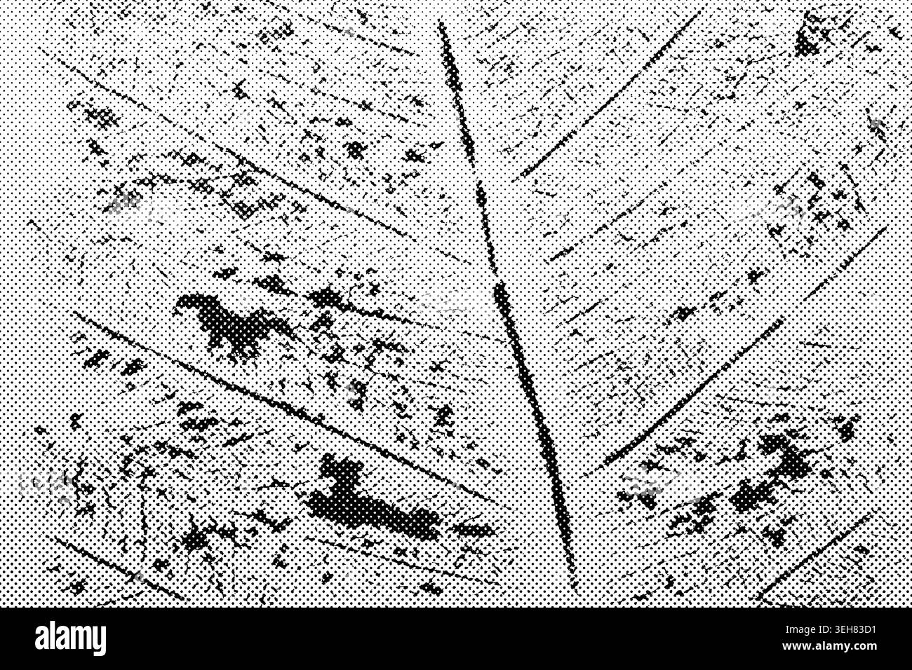 Primo piano con motivi naturali dettagliati e texture delle foglie in stile mezzitoni Foto Stock
