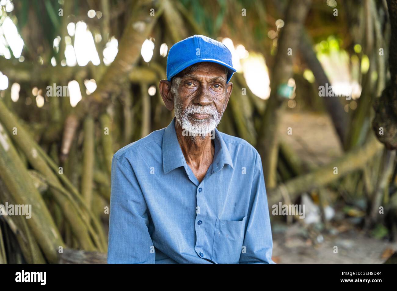 Sri Lanka - 15 gennaio 2026: Veduta di un uomo anziano con una barba bianca che indossa un cappello e una camicia blu seduti davanti alle radici degli alberi tropicali. Foto Stock