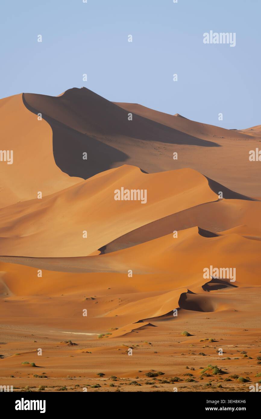 Dune di sabbia giallo-rossa del Namib, deserto del Namib, Parco Nazionale del Namib-Naukluft, Namibia Foto Stock
