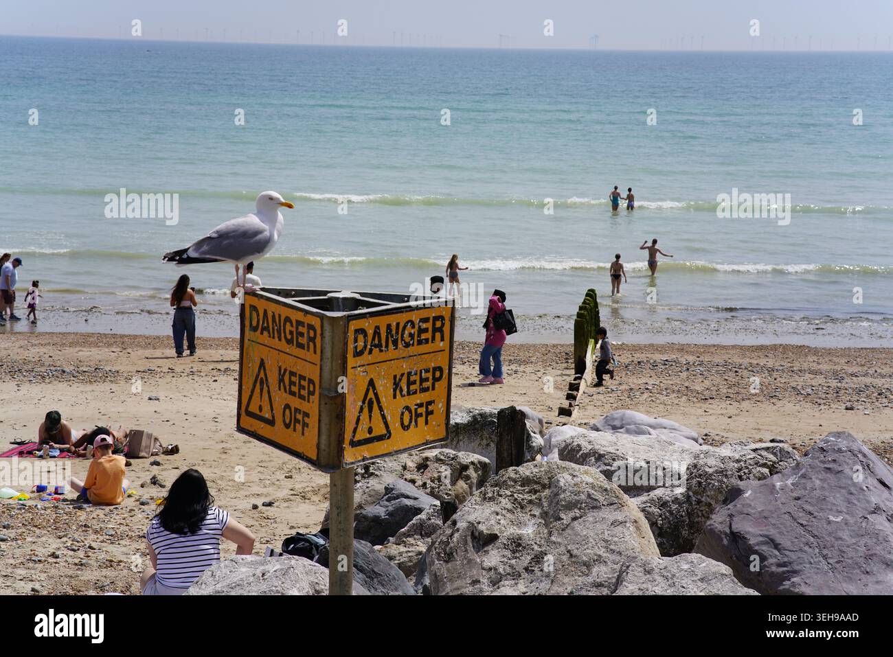 Gabbiano appollaiato su un cartello di pericolo sulla spiaggia di ciottoli di Worthing, West Sussex, Inghilterra. Foto Stock