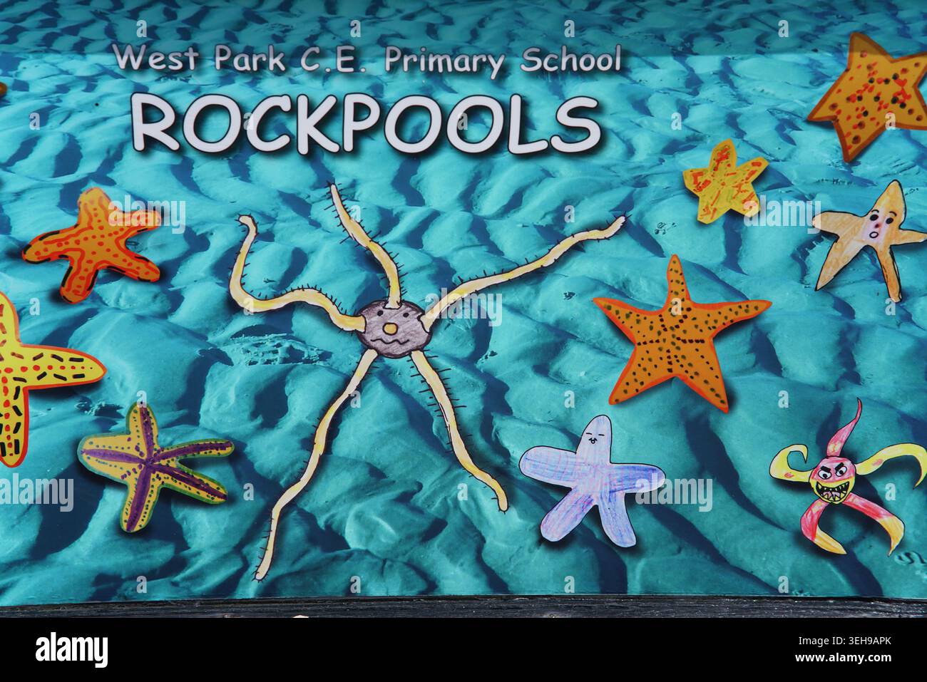 Piscine rocciose colorate e murales con stelle marine per la West Park C.E. Primary School di Worthing, West Sussex, Inghilterra. Foto Stock