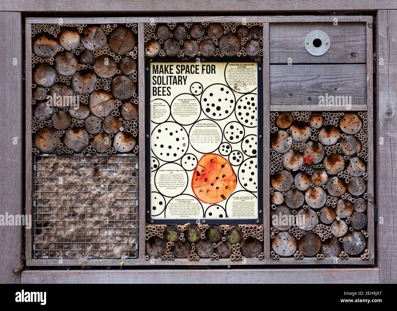 Bee hotel o casa, South London Foto Stock