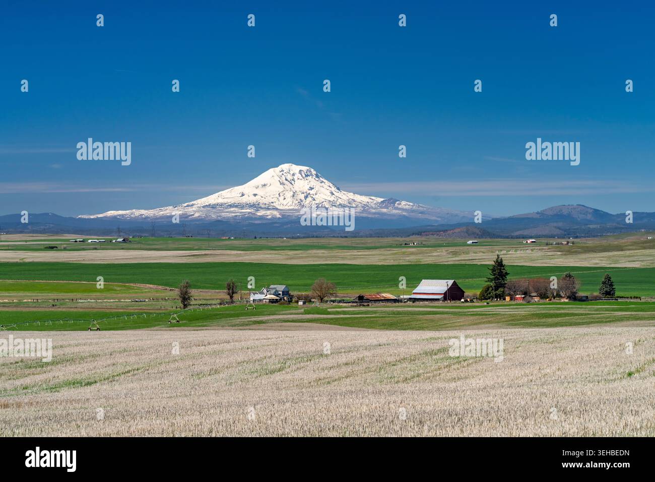 Vista sul monte Adams con edifici agricoli nella zona rurale di Washington, Stati Uniti. Foto Stock