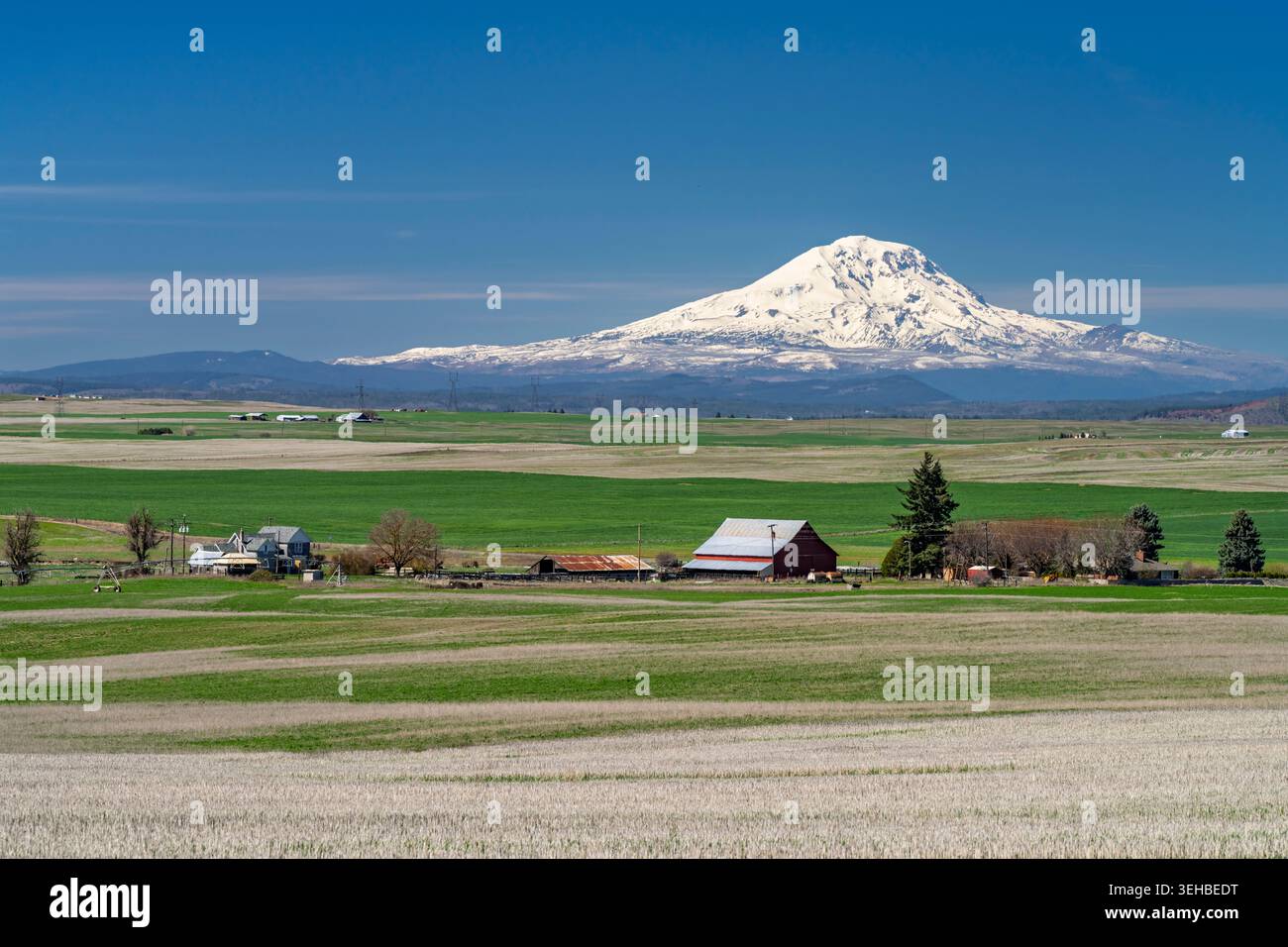 Vista sul monte Adams con edifici agricoli nella zona rurale di Washington, Stati Uniti. Foto Stock