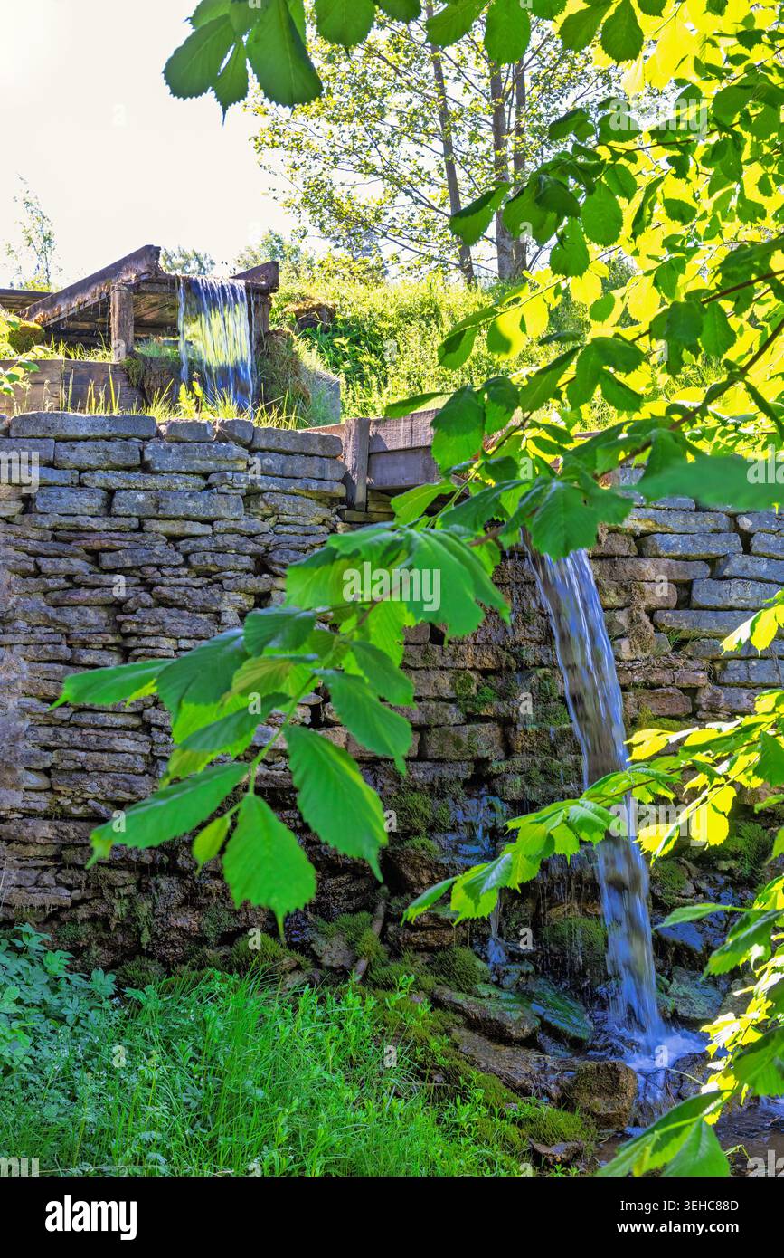 Vecchio mulino ad acqua con un ramo d'albero verde in estate Foto Stock