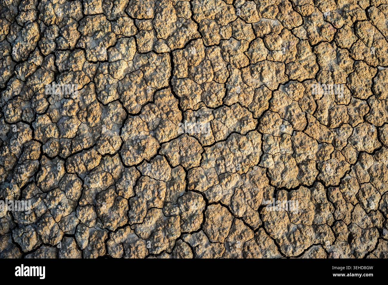 Terreno argilloso essiccato nelle Bardenas Reales, Navarra, Spagna Foto Stock