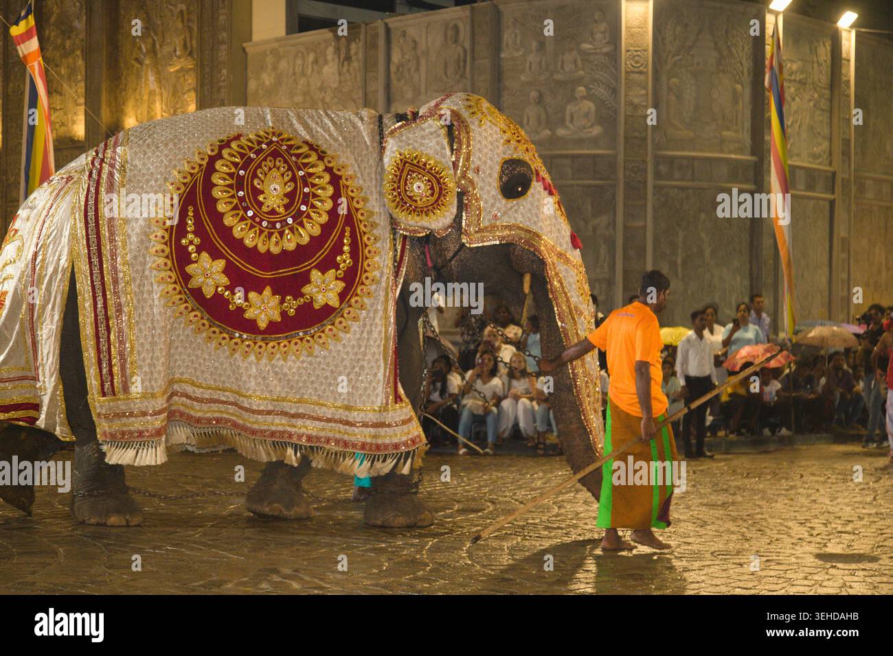 Sri Lanka, Navam Perahera, festa buddista, elefante decorato, Foto Stock