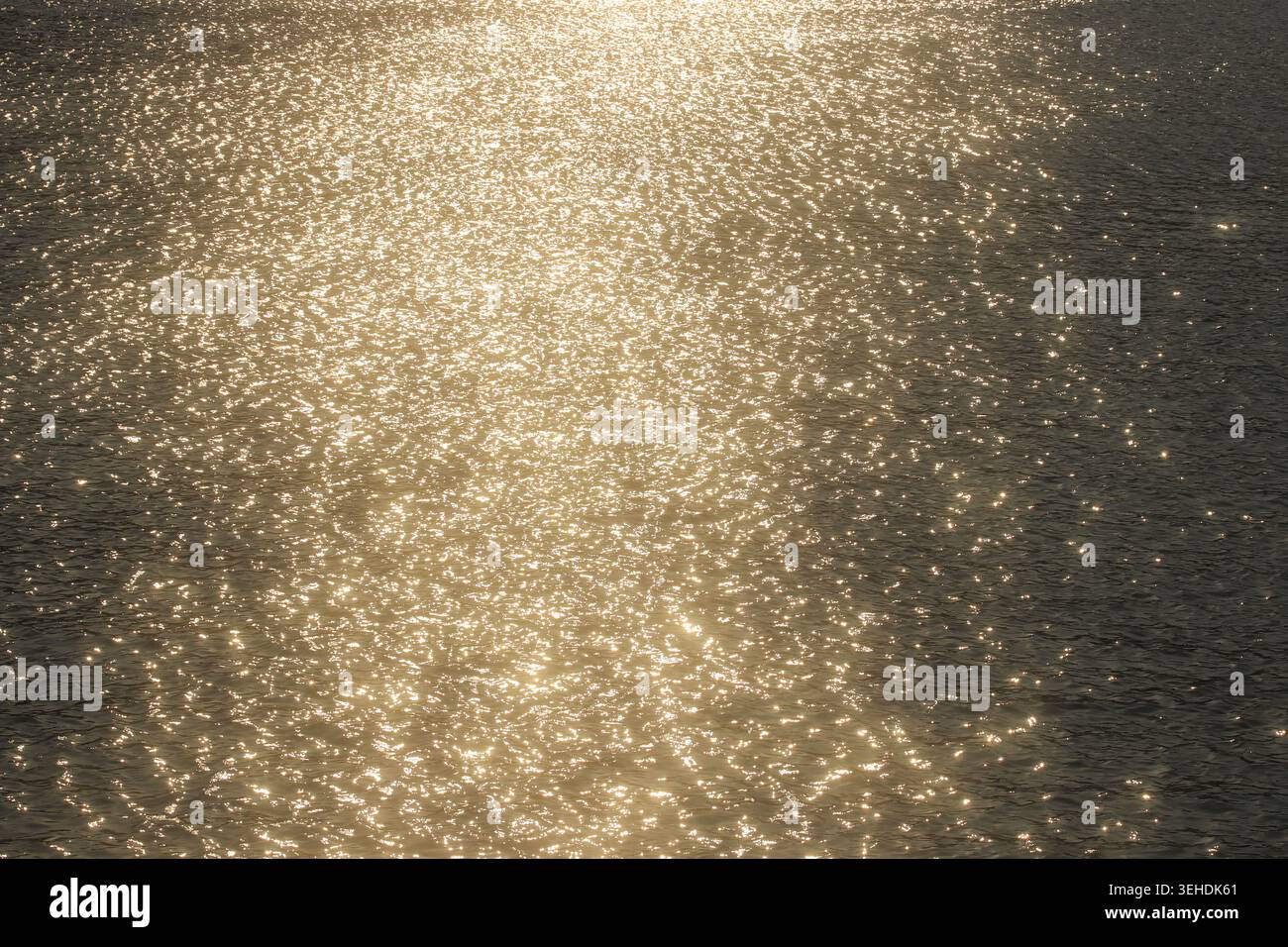 Ampio angolo di visione del riflesso dorato estivo su una superficie di acqua scura, con scintillanti motivi di luce bokeh e una naturale texture astratta dello sfondo. Foto Stock