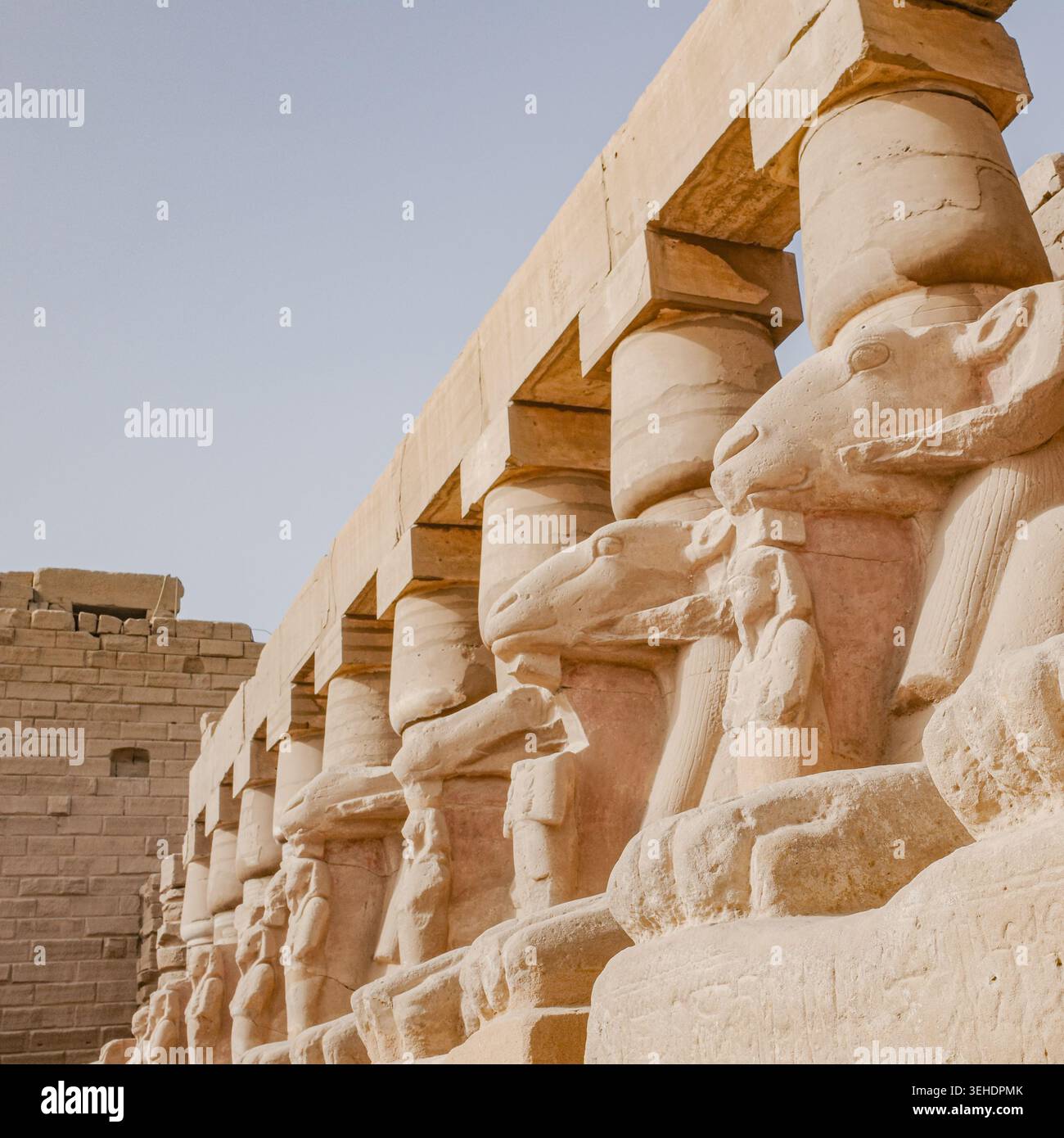 Luxor, Egitto - 28 gennaio 2026: Sfingi all'ingresso del tempio di Karnak, Luxor, Egitto Foto Stock