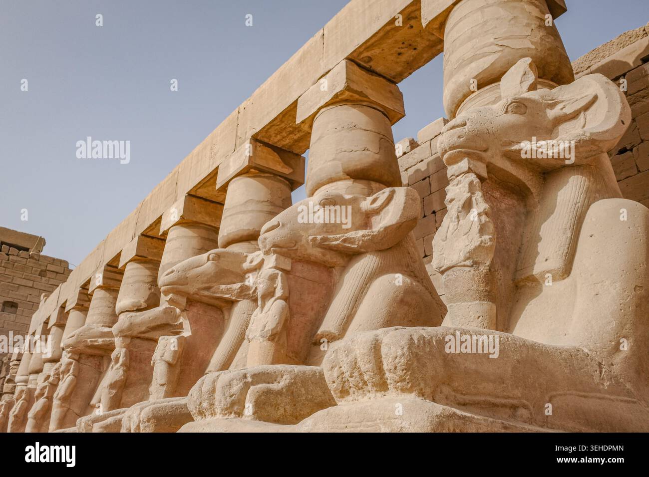 Luxor, Egitto - 28 gennaio 2026: Sfingi all'ingresso del tempio di Karnak, Luxor, Egitto Foto Stock