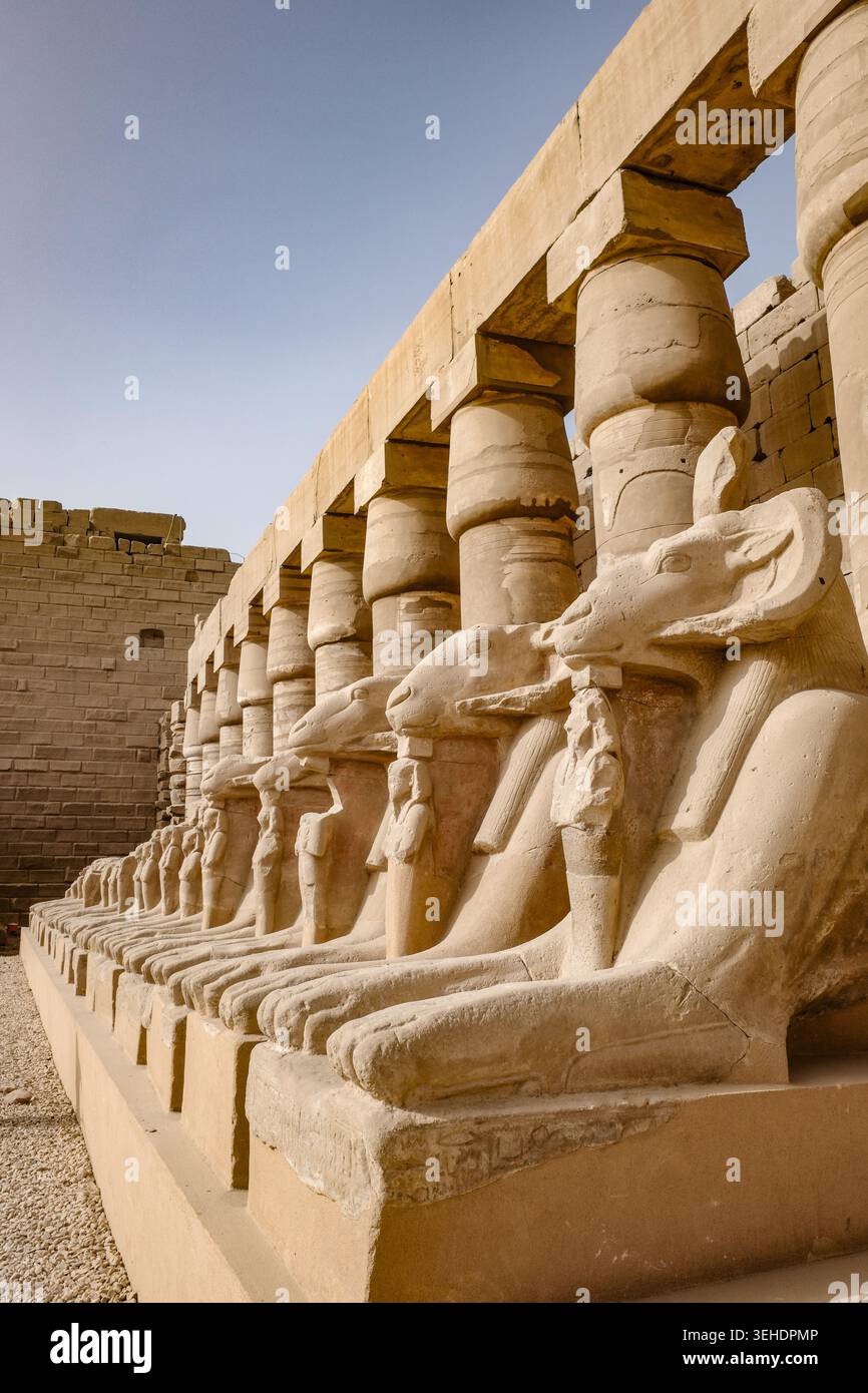 Luxor, Egitto - 28 gennaio 2026: Sfingi all'ingresso del tempio di Karnak, Luxor, Egitto Foto Stock