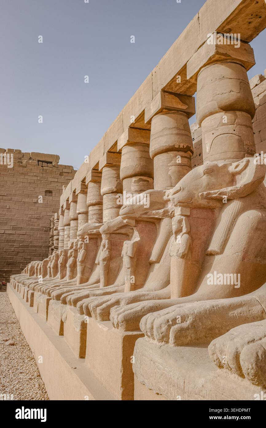 Luxor, Egitto - 28 gennaio 2026: Sfingi all'ingresso del tempio di Karnak, Luxor, Egitto Foto Stock
