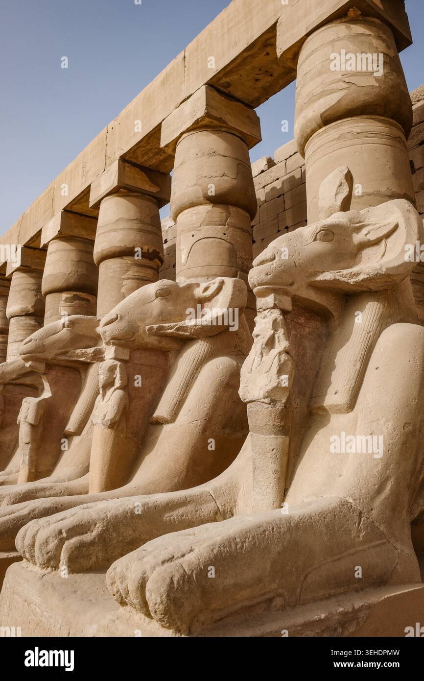 Luxor, Egitto - 28 gennaio 2026: Sfingi all'ingresso del tempio di Karnak, Luxor, Egitto Foto Stock