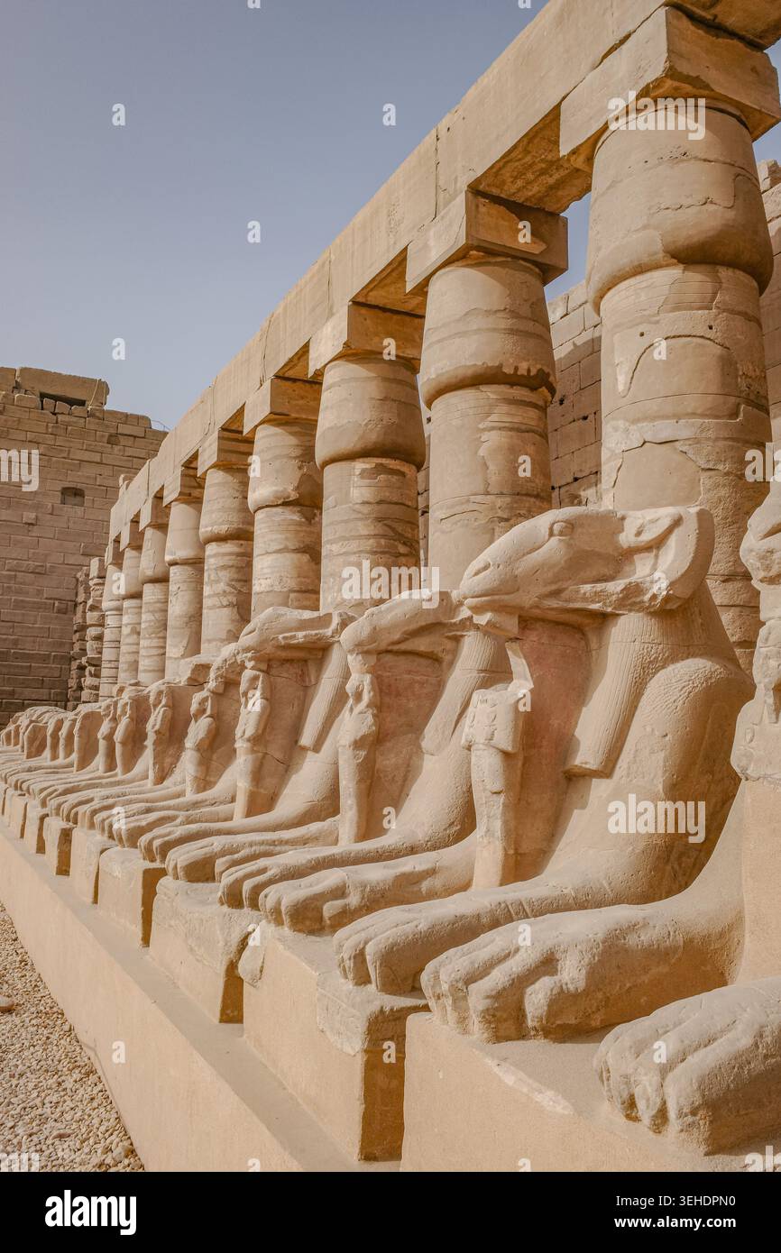 Luxor, Egitto - 28 gennaio 2026: Sfingi all'ingresso del tempio di Karnak, Luxor, Egitto Foto Stock
