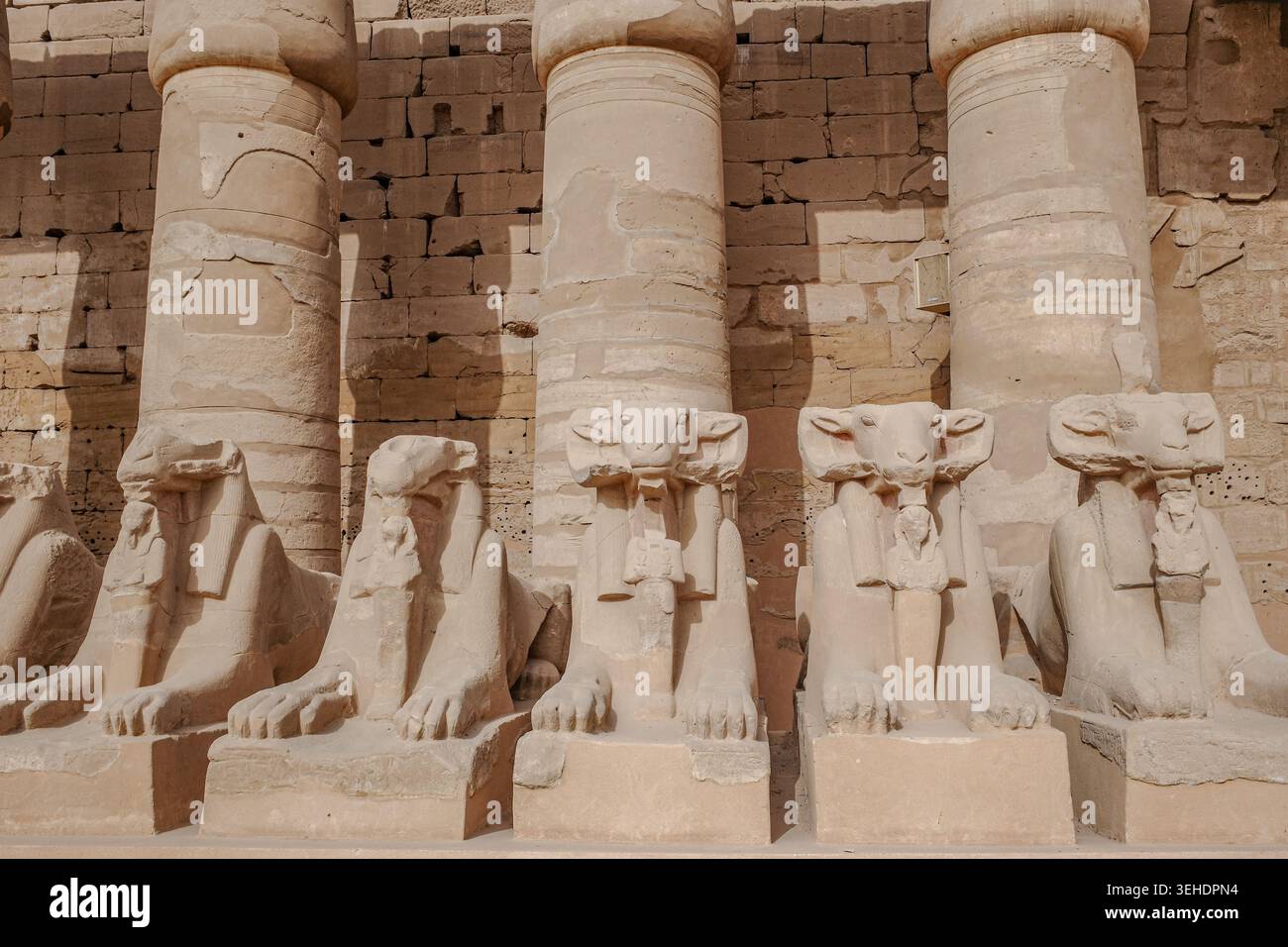 Luxor, Egitto - 28 gennaio 2026: Sfingi all'ingresso del tempio di Karnak, Luxor, Egitto Foto Stock