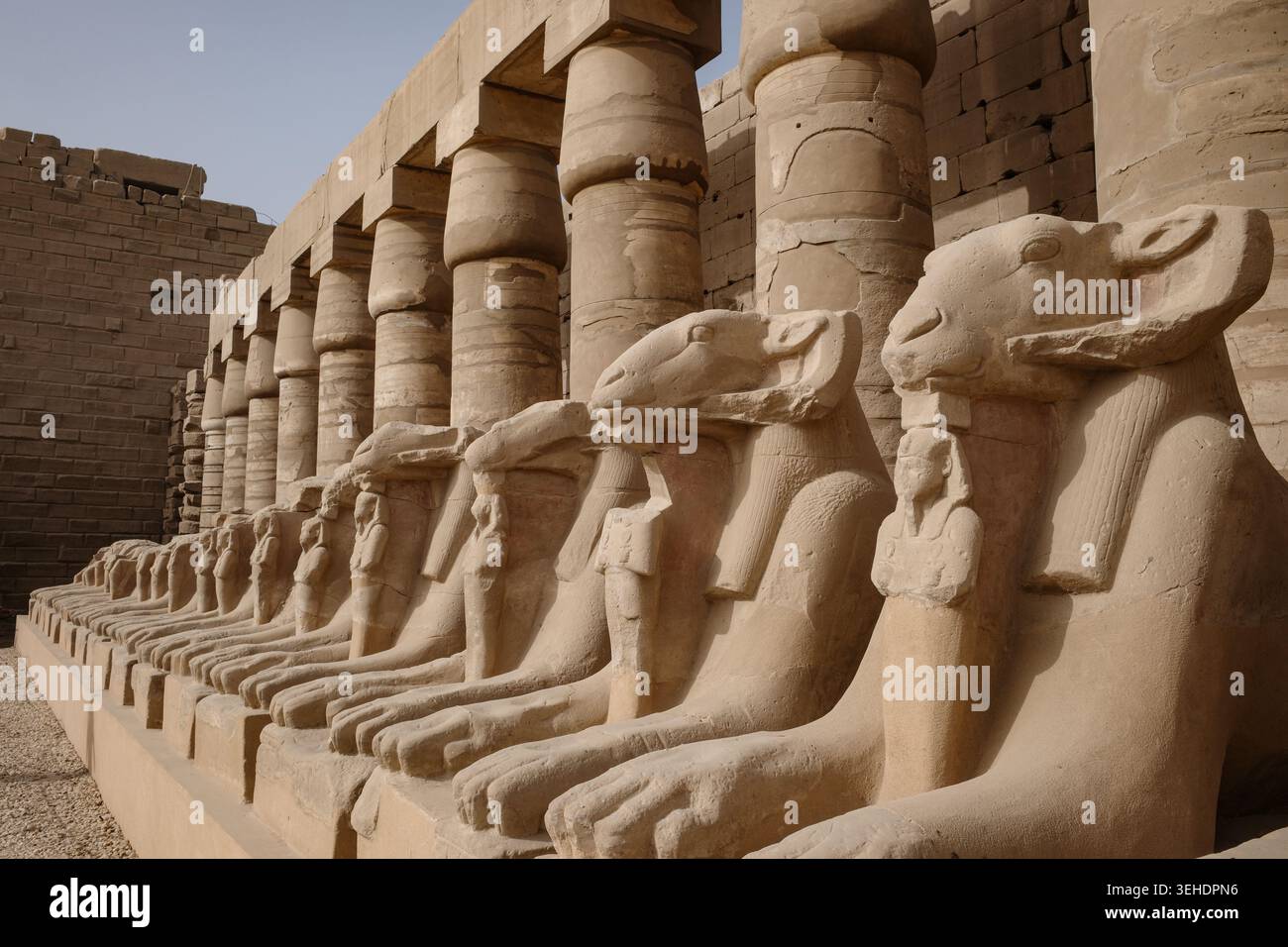 Luxor, Egitto - 28 gennaio 2026: Sfingi all'ingresso del tempio di Karnak, Luxor, Egitto Foto Stock