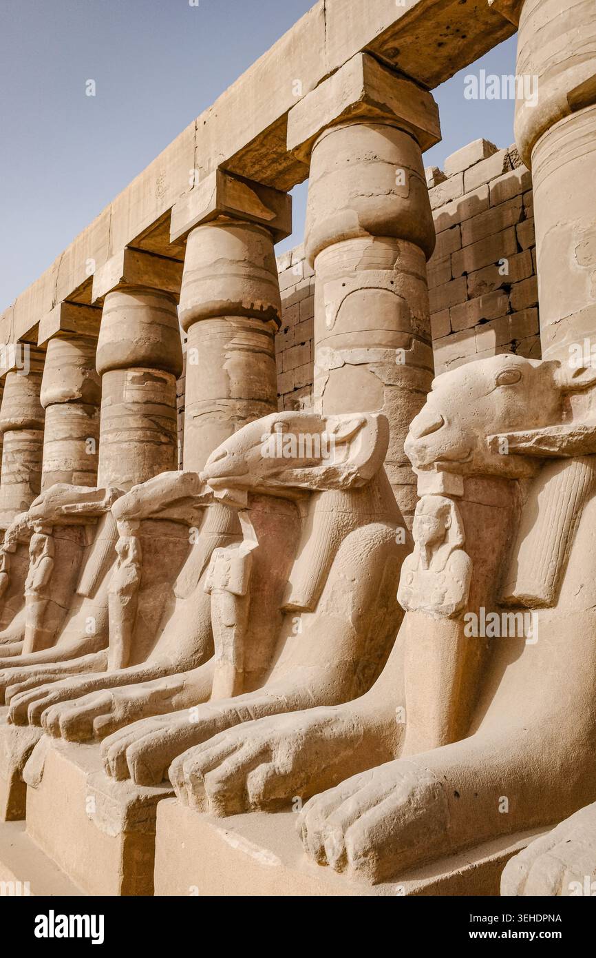 Luxor, Egitto - 28 gennaio 2026: Sfingi all'ingresso del tempio di Karnak, Luxor, Egitto Foto Stock