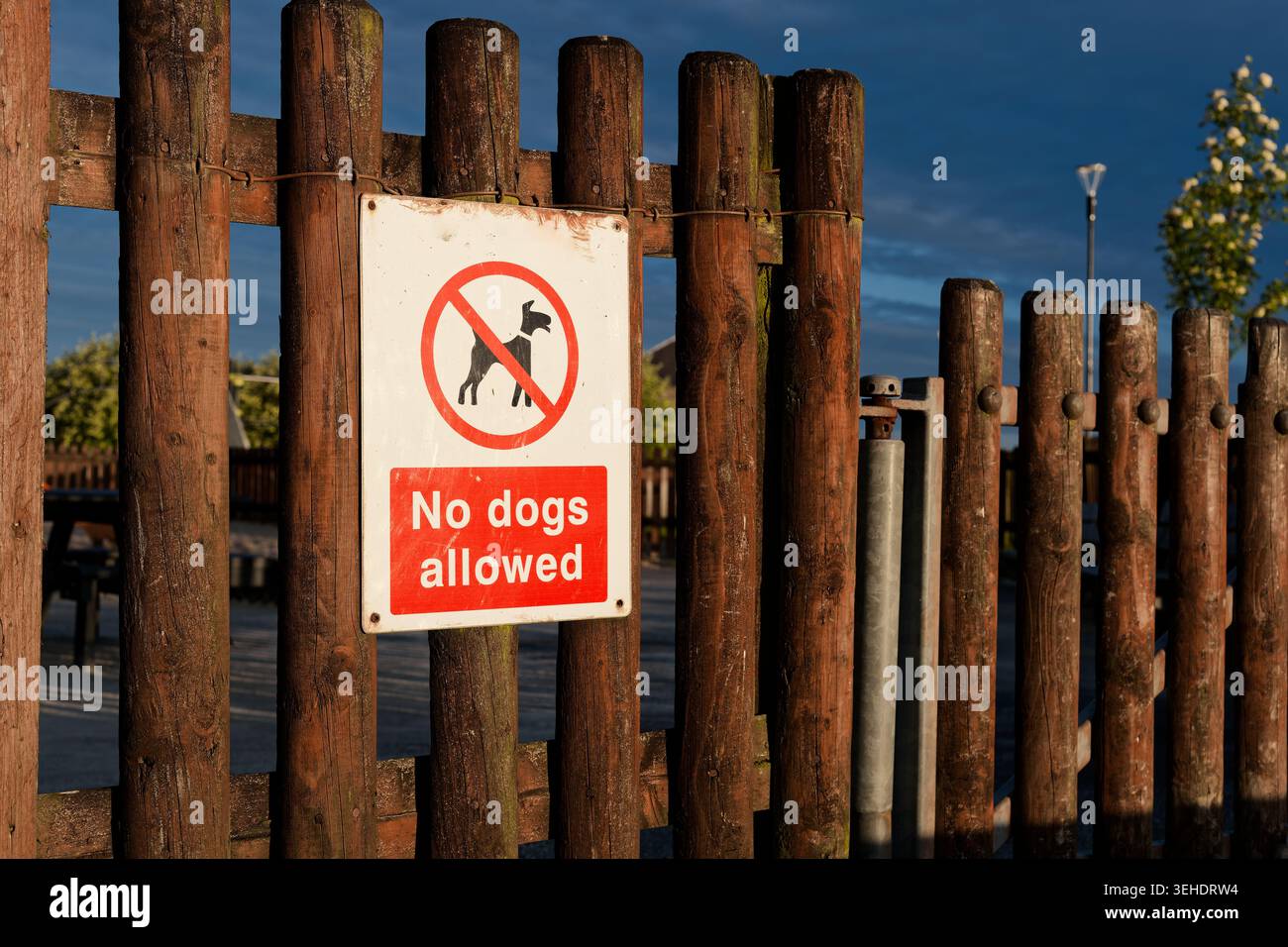 Al cancello d'ingresso del parco giochi non sono ammessi cani Foto Stock