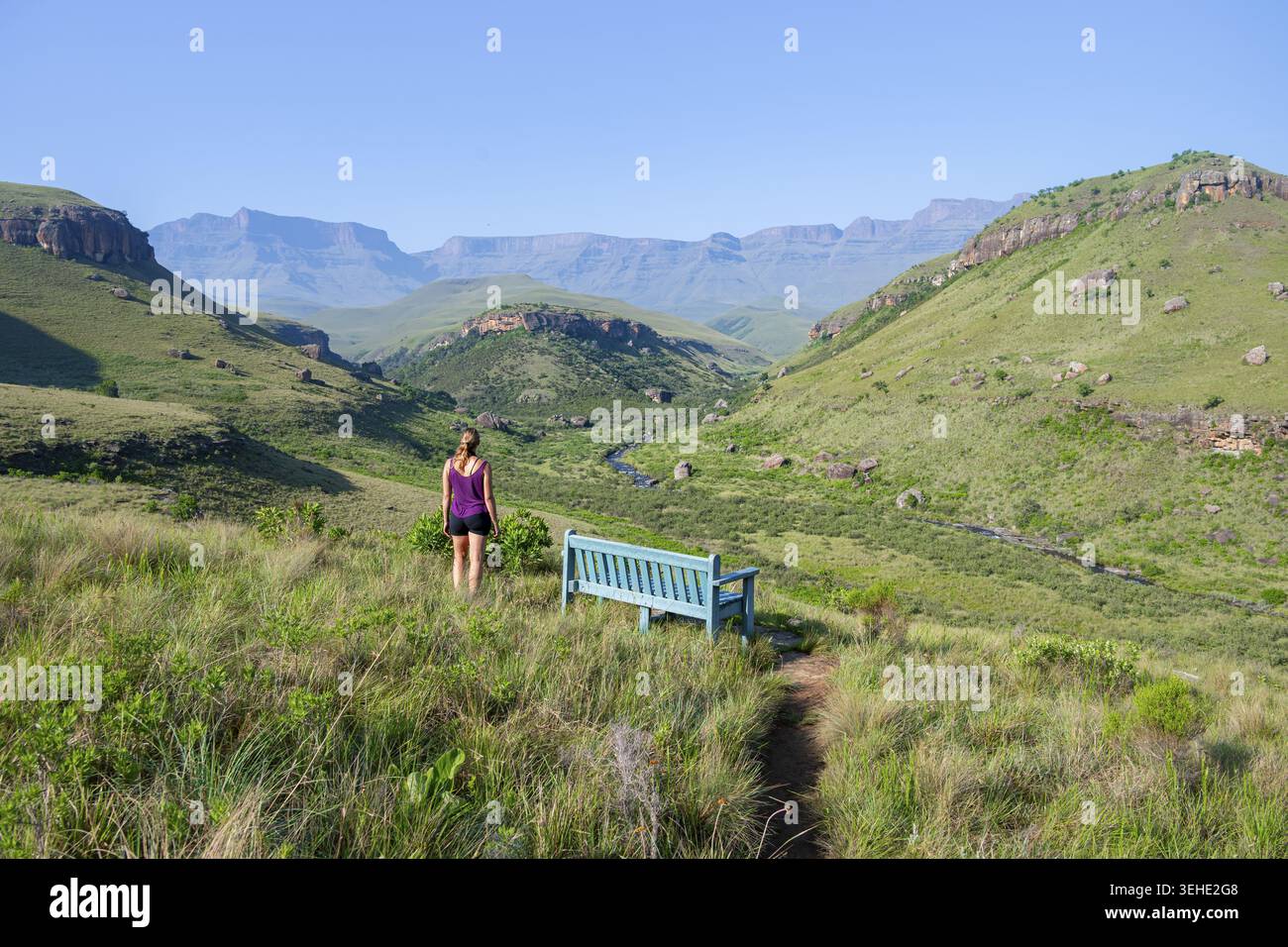 Giovane escursionista in piedi accanto al Blue Park Bench in una valle montana idilliaca e verde con fiume, il Castello del Gigante, il Parco Maloti-Drakensberg e il Monte Drakensberg Foto Stock
