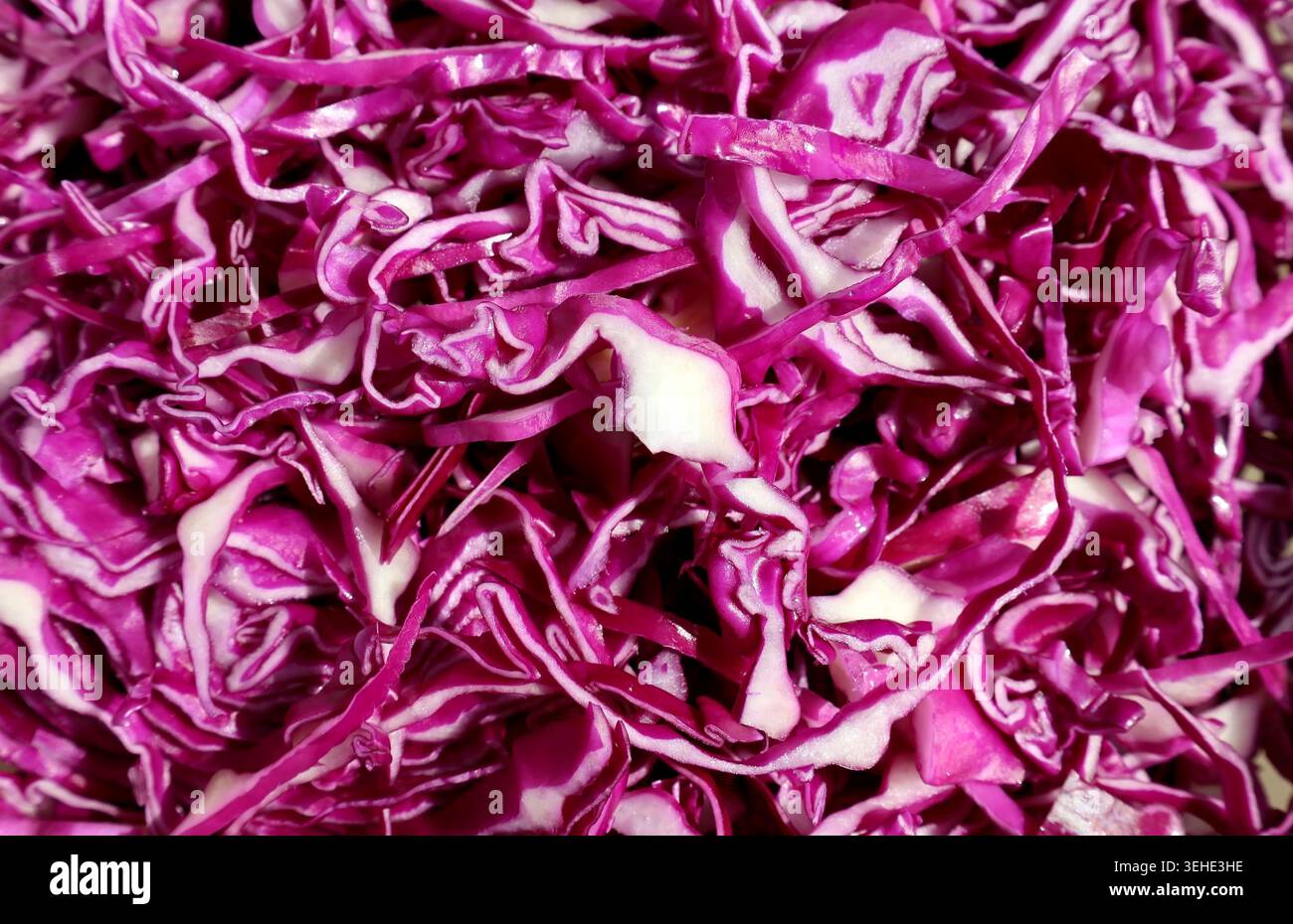 Cavolo rosso crudo tagliato a strisce, base per crauti. Full frame. Foto Stock