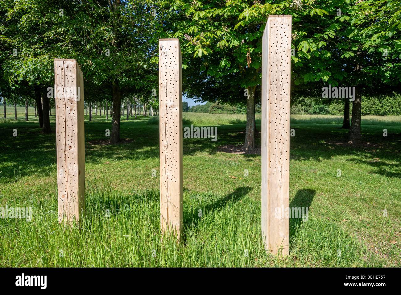 Pali di api solitarie, pali di legno con fori forati per nidificare le api, McLaren Park vicino a Woking, Surrey, Inghilterra, Regno Unito Foto Stock