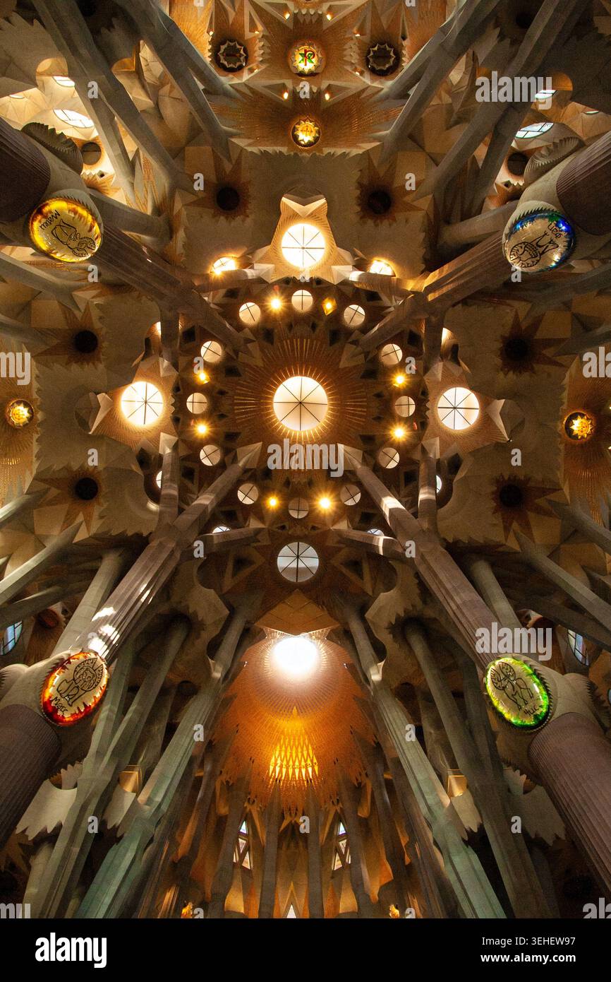 Barcellona, Spagna. 8 gennaio 2011, Sagrada Familia interior ceiling design di Antoni Gaudi Foto Stock