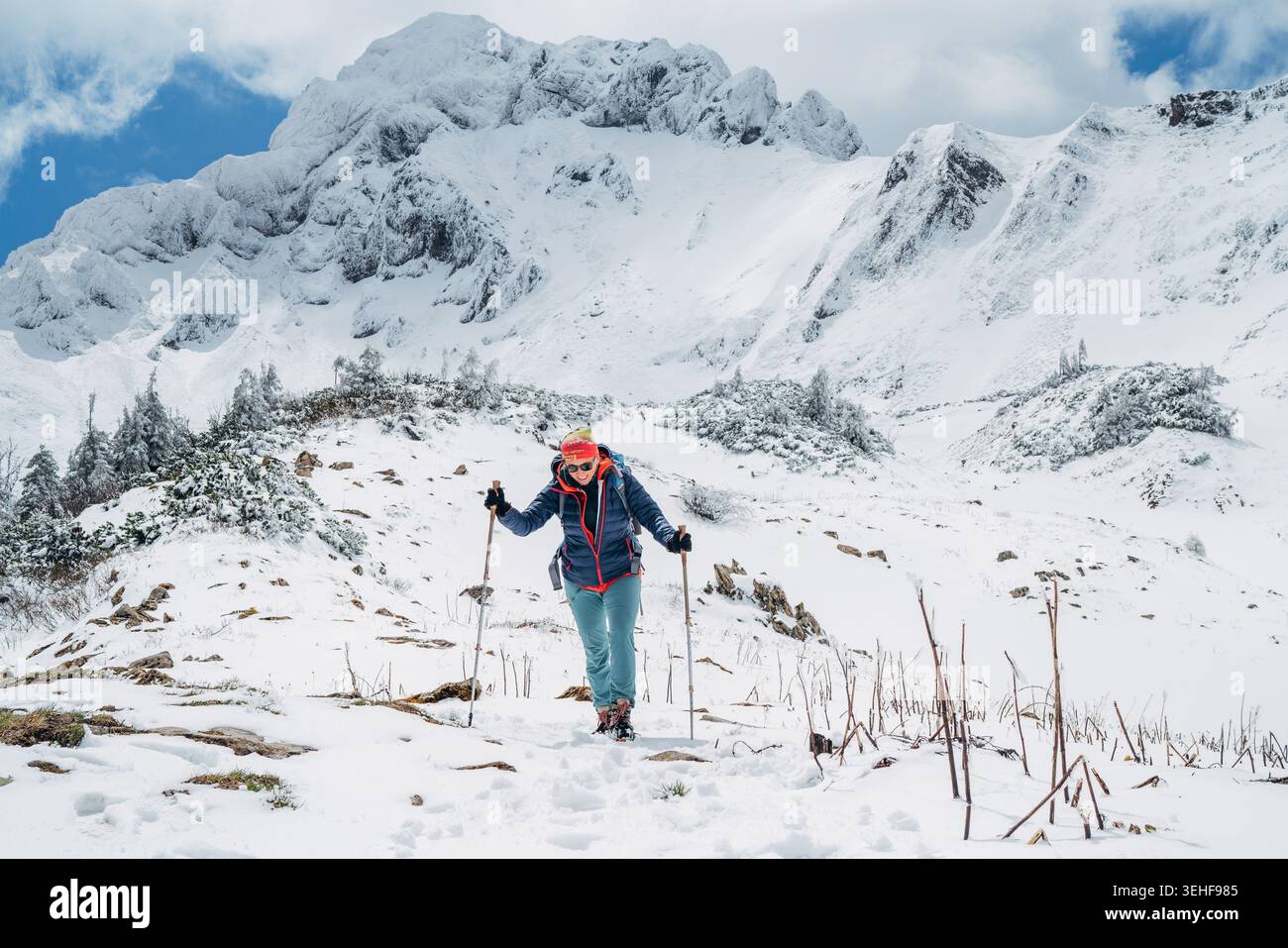 Determinata arrampicatrice che utilizza pali da trekking, camminando attraverso la neve profonda sotto l'imponente montagna Eisenerzer Reichenstein in Austria, che rappresenta l'estremismo Foto Stock