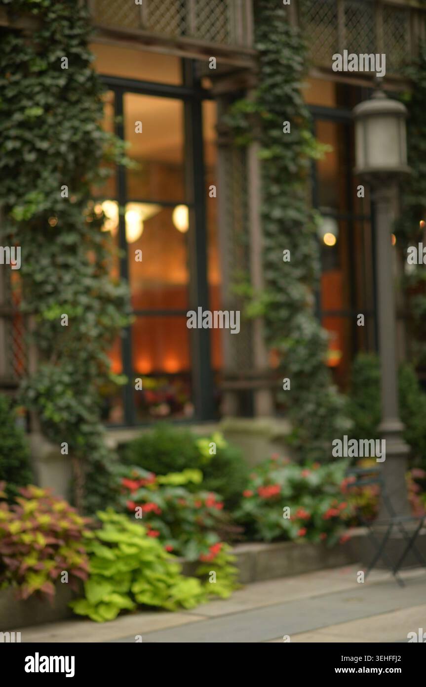 Soho Plantcovered Storefront con Warm Window Glow, accogliente Boutique Exterior New york Foto Stock