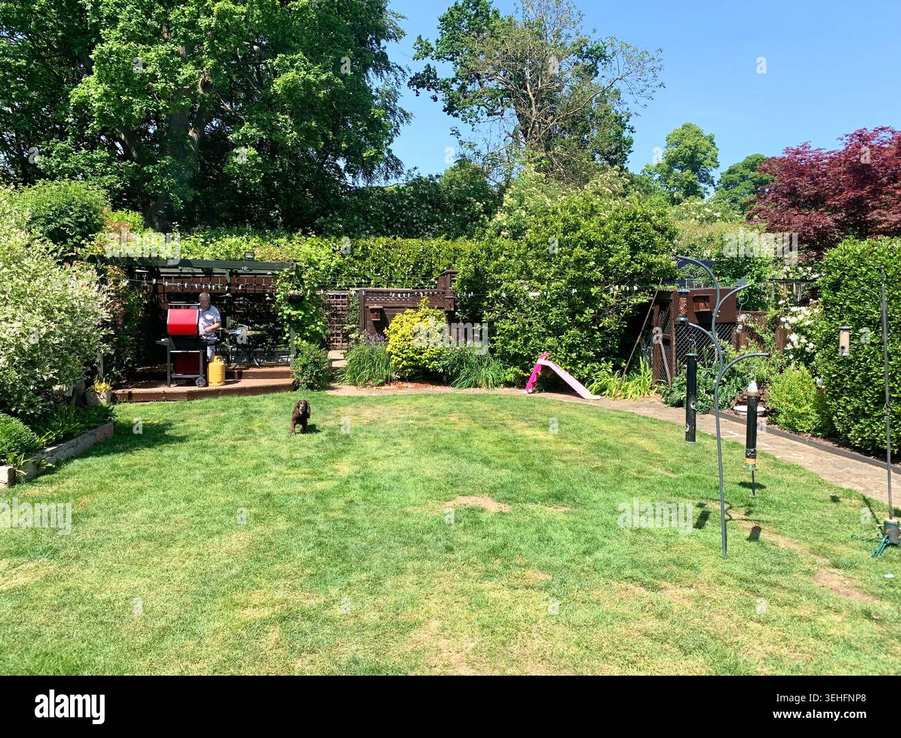 Affascinante casa di periferia con dettagli in stile Tudor e finestre a bovindo bagnate dal giardino estivo alla luce del sole che gettano un prato verde con prato affollato - Immagine stock catturata con smartphone