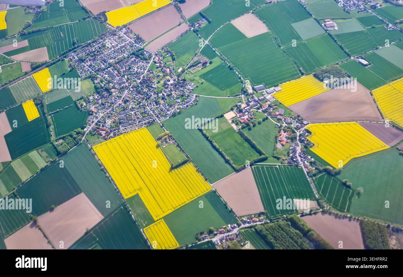 Vista aerea dei terreni agricoli e del villaggio, a est di Dortmund, in Germania, con campi di colza di colore giallo brillante e terreni coltivati in mosaico. Foto Stock