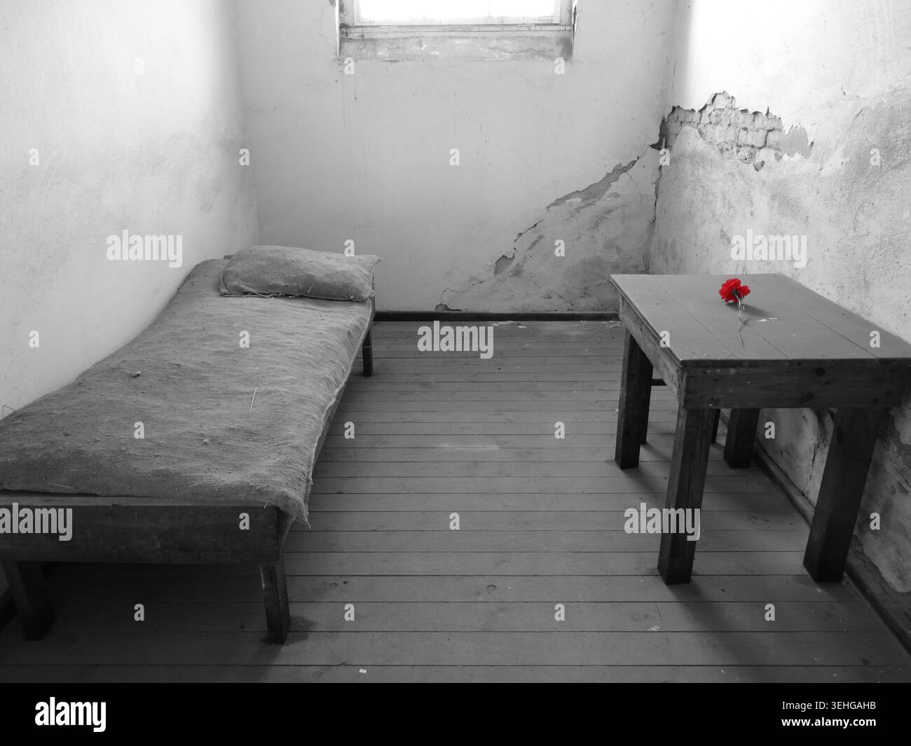 Rosa rossa su un tavolo in una desolata cella carceraria, simboleggia la speranza nella disperazione Foto Stock