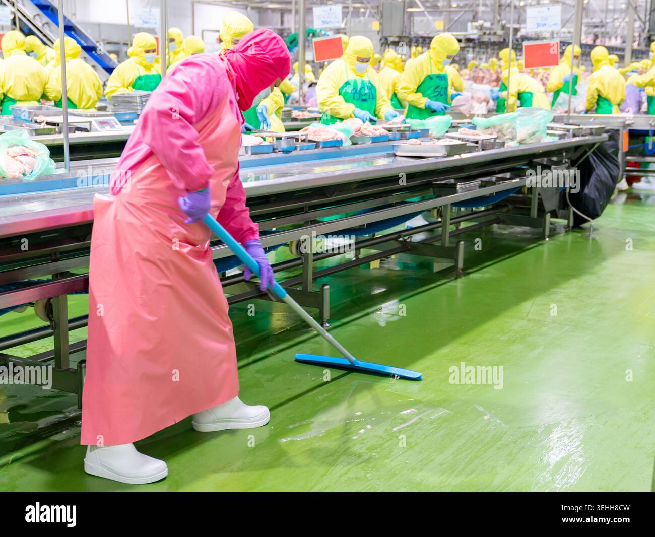 Pulizia e igienizzazione del pavimento bagnato da personale addetto alla pulizia industriale con un raschietto all'interno di un impianto di lavorazione del pollame o della carne vicino al trasportatore Foto Stock