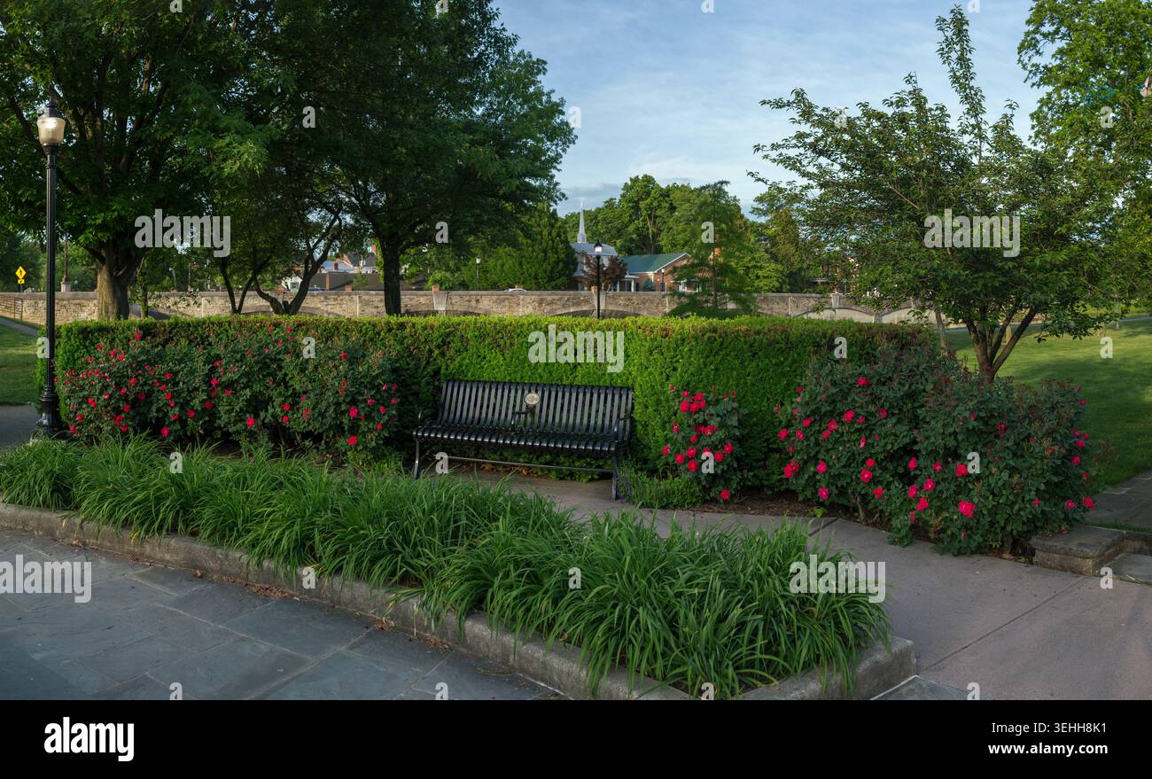 Una panchina di metallo nero si trova di fronte a una siepe verde con rose rosse in fiore vicino a un ponte di pietra e al passaggio pedonale lastricato a Baker Park, Frederick, Maryla Foto Stock