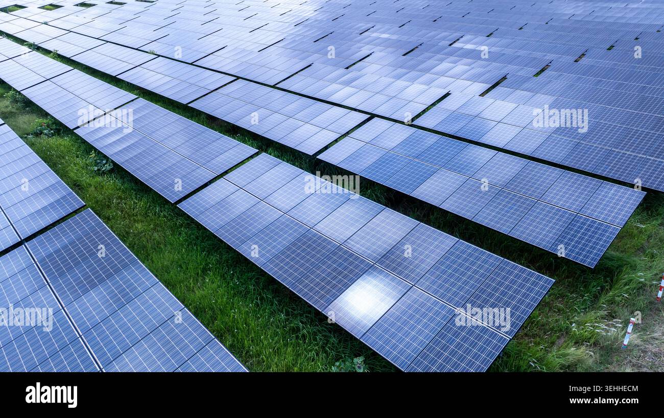 File di pannelli solari utilityscale in un campo verde nel aiyaphum thailandia che dimostrano energia rinnovabile e produzione di energia sostenibile. Foto Stock
