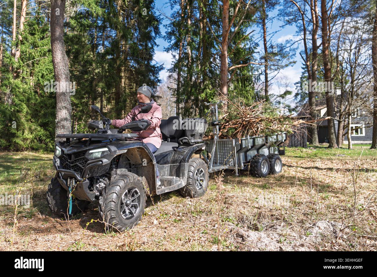 Donna alla guida di un quad ATV con rimorchio pieno di legna da ardere nella foresta in Estonia, Europa Foto Stock