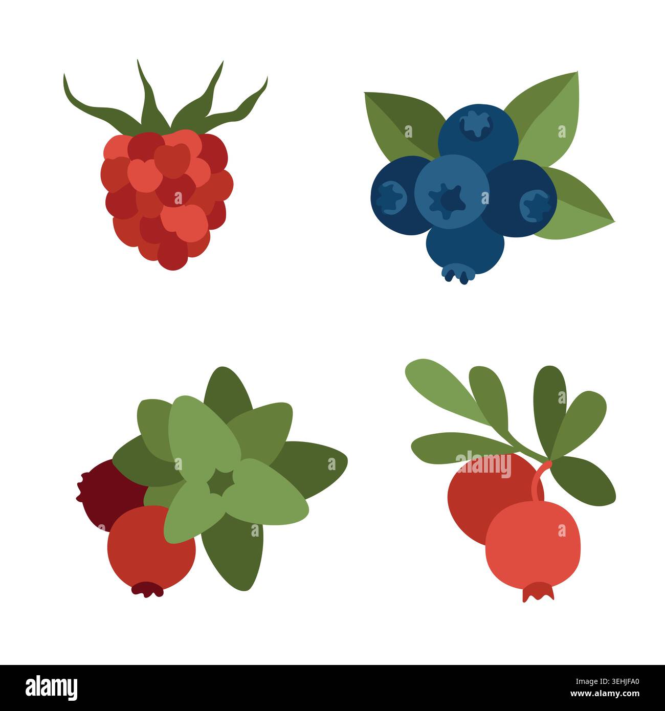 Raccolta autunnale di frutti di bosco, mirtilli rossi, lamponi, lingonberry, mirtilli per disegni autunnali o confezioni Illustrazione Vettoriale
