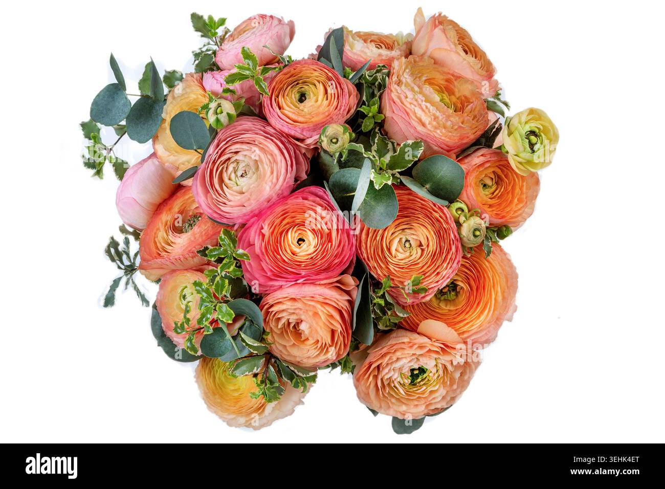 Un bouquet di tazze persiane rosa, arancio e giallo con eucalipto e fogliame variegato. Foto Stock
